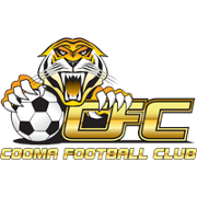 古玛老虎